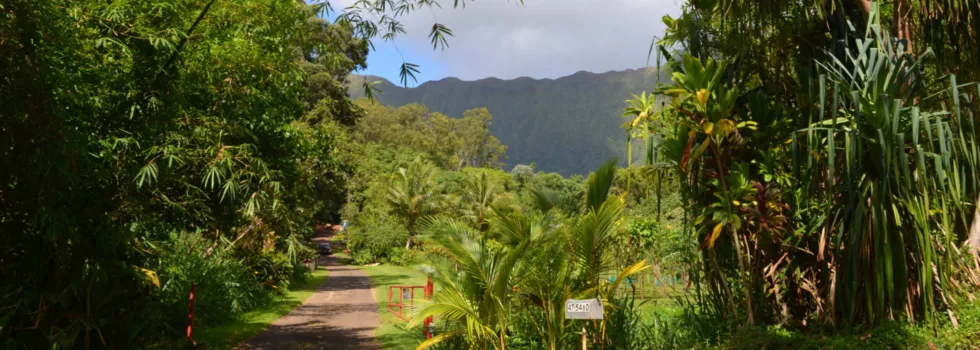 Front gate to chocolate farm oahu