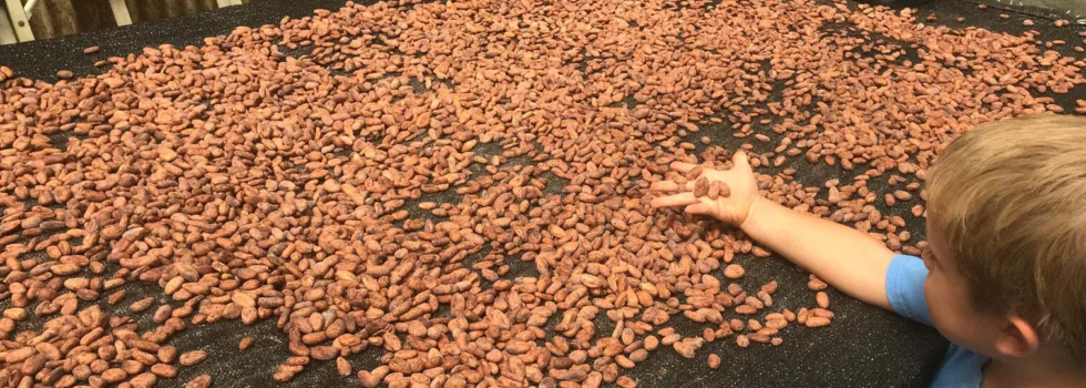 Cacao farm tour oahu hawaii