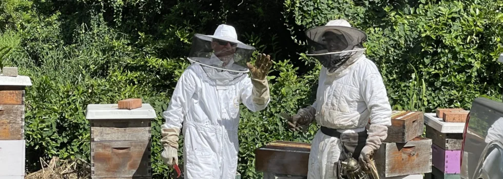 Bee keeper cacao farm oahu tour