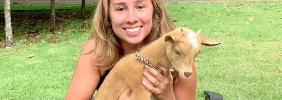 Miniature goat oahu farm tour