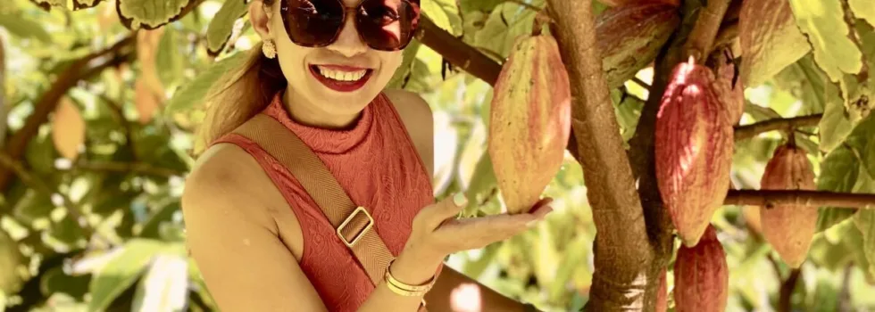 Cacao tree oahu farm tour