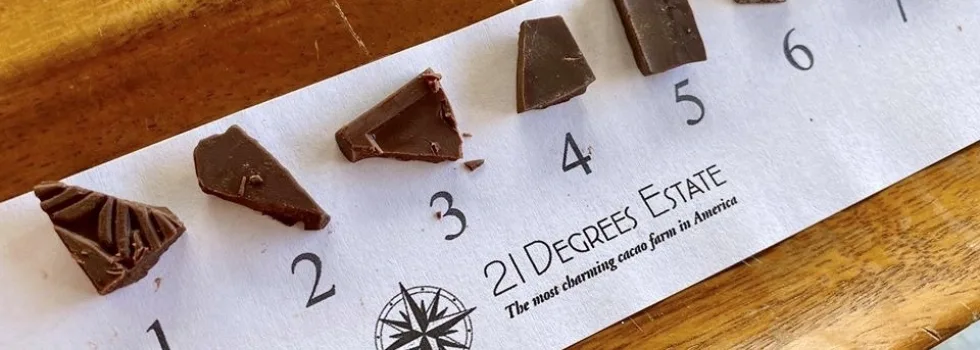 Chocolate tasting oahu tour