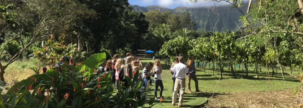 Chocolate farm tour group oahu