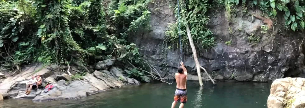 Rainforest jungle tours puerto rico