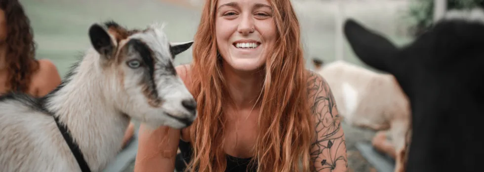 Yoga goat on kauai farm