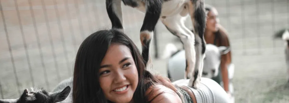 Dwarf goats yoga kauai