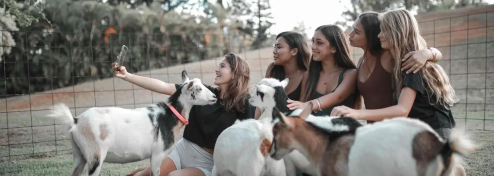 Kauai petting zoo with goats