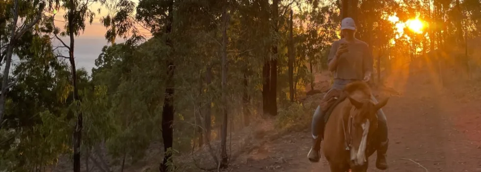 Sunset in west oahu mountain horse