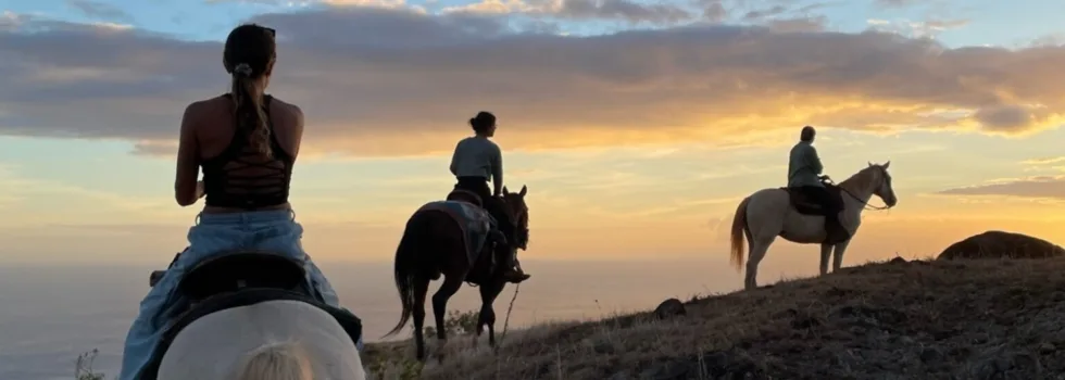 Sunset during horse ride oahu