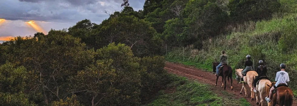 Mountain trail horse ride oahu