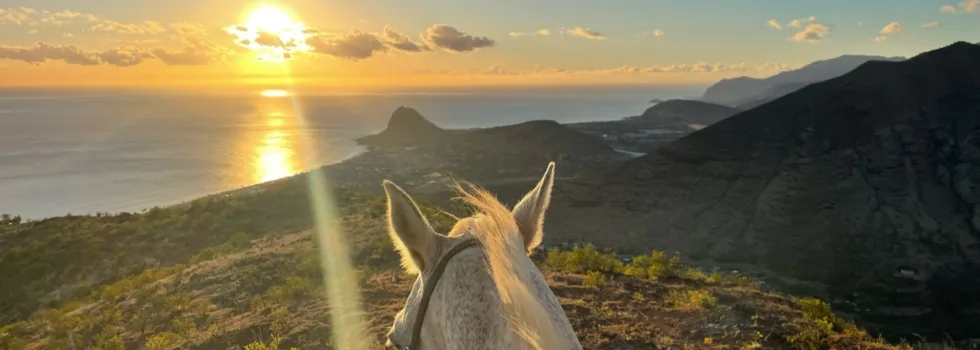 Ride horse into sunset oahu