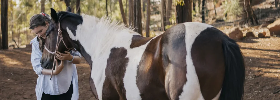 Kapolei horse back riding