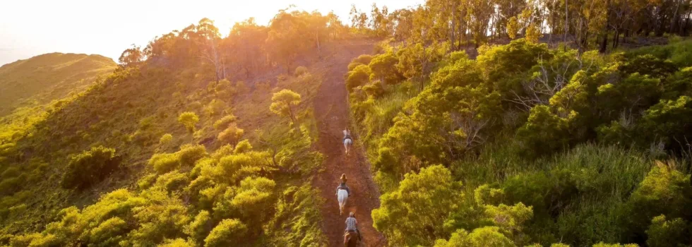Sunset trail ride oahu