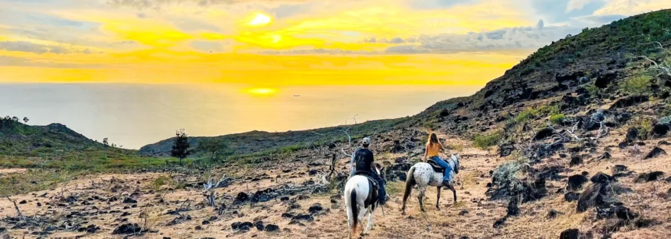 Sunset in waianae mountains on horseback