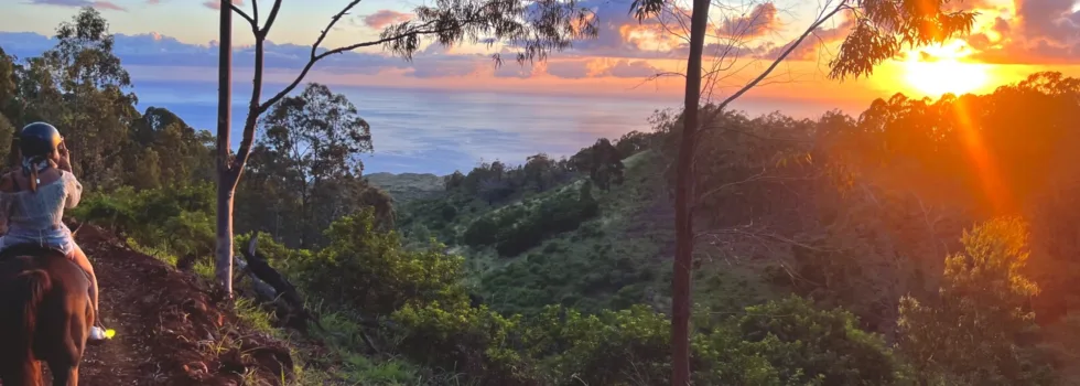 Sunset from oahu mountains on horse back