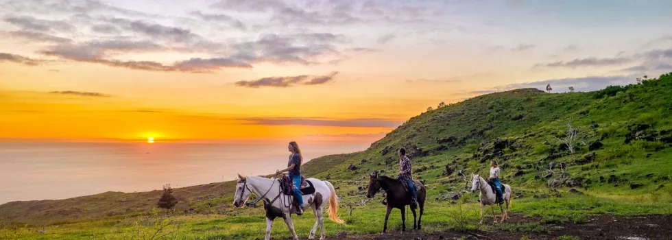 Sunset from waianae mountains on horse back