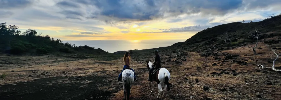 Waianae mountain trail ride horse