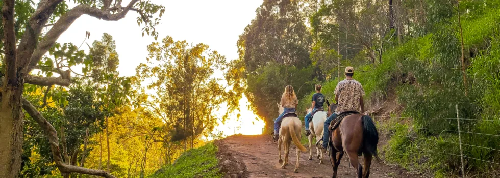 Kapolei mountain horse trail ride