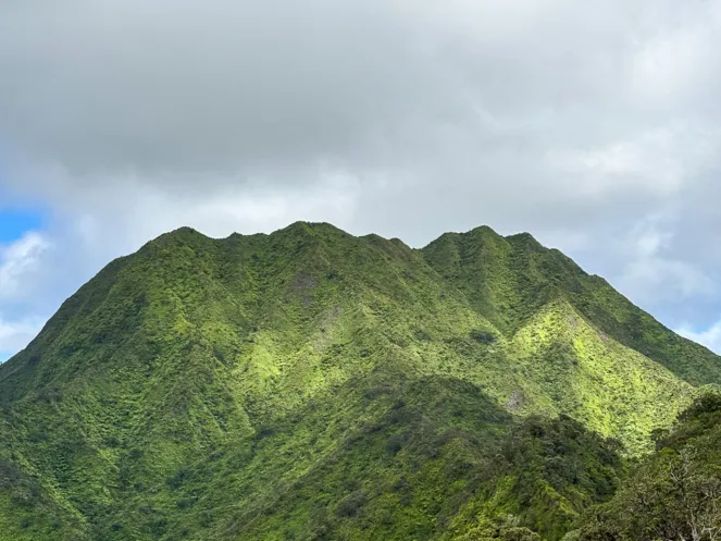 Hiking the Kapalama Trail to Puu Lanihuli