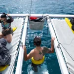 Small catamaran snorkel waikiki thumb