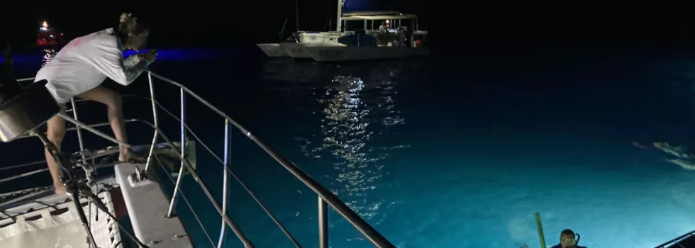 Night snorkeling manta kona view