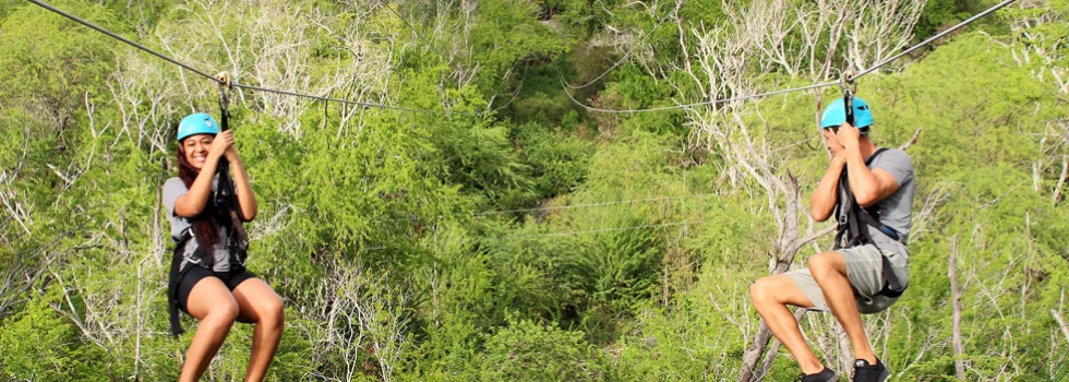 Disney aulani hawaii zipline