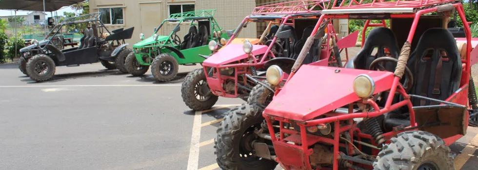 Atv ride near hawaii disney
