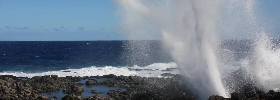 Halona Blowhole Tour