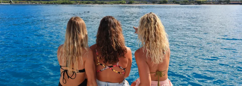 Dolphin watching oahu