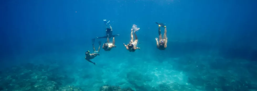 West oahu snorkel tour