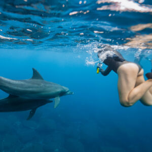 West Oahu Dolphin Snorkeling Boat
