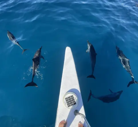 Small Waikiki Snorkel Catamaran photo 3