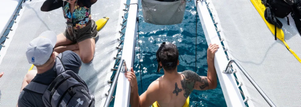Small catamaran snorkel waikiki