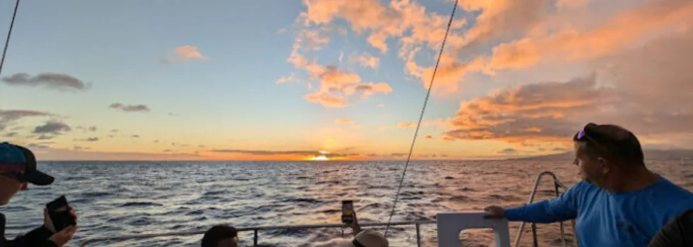 Small sunset swim waikiki catamaran