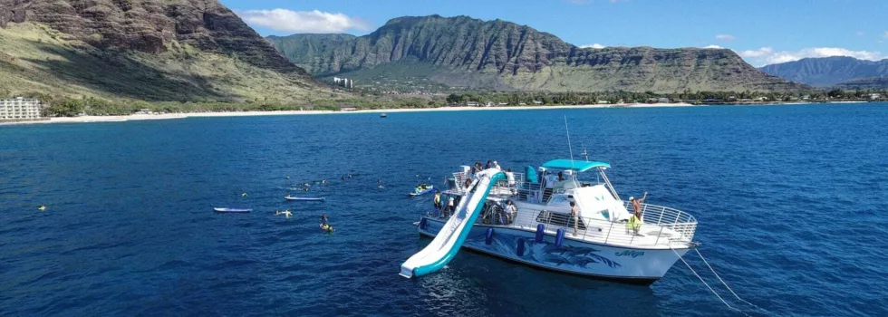 Dolphin swim oahu boat
