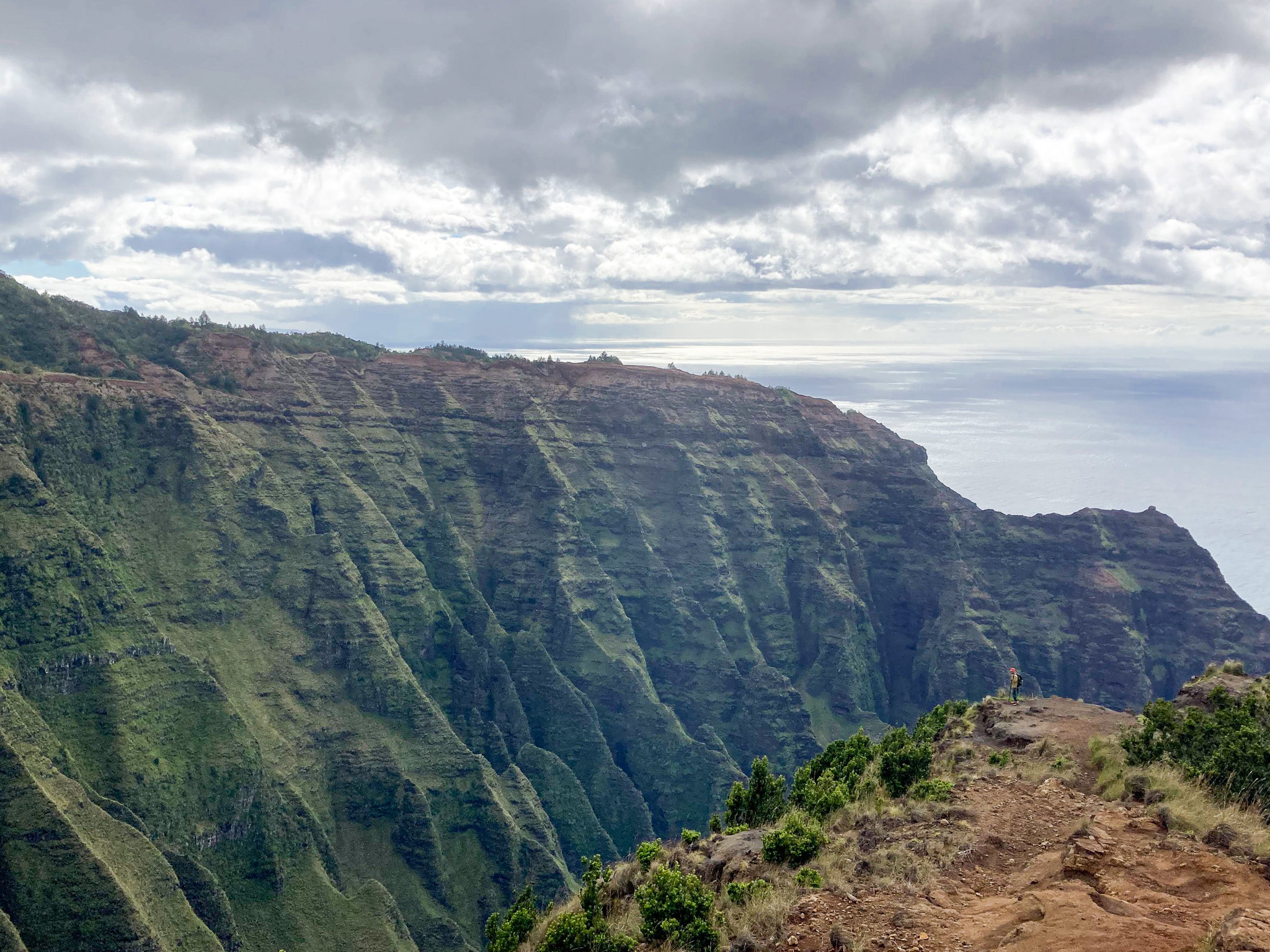 Awaawapuhi Trail viewpoint Kokee Kauai