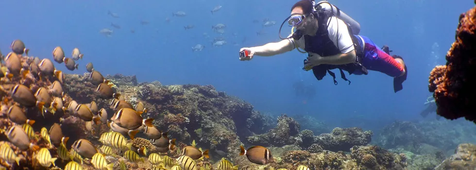 Two Tank Scuba Dive Hawaii