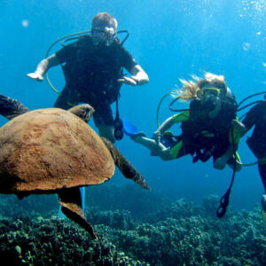 Honolulu Boat Scuba Dive Tour