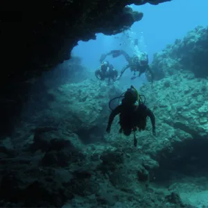 Learn to Scuba Dive & Refresher Scuba Dive