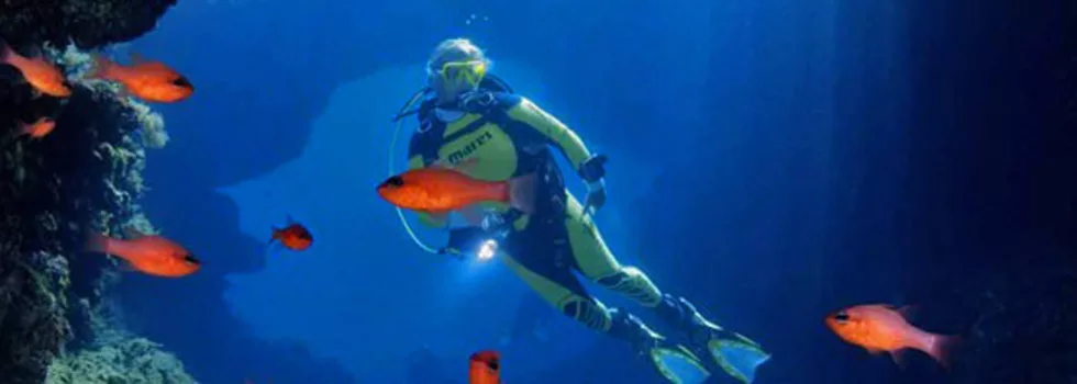 Night dive site honolulu