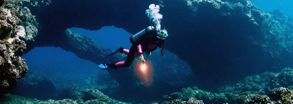 Scuba diving at night in waikiki hawaii