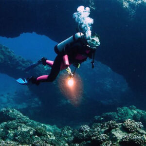 Honolulu Night Scuba Dive