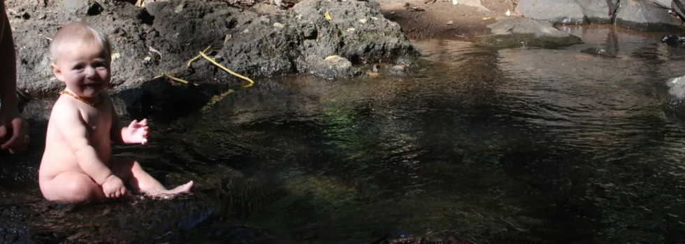 Baby sightseeing tour maui