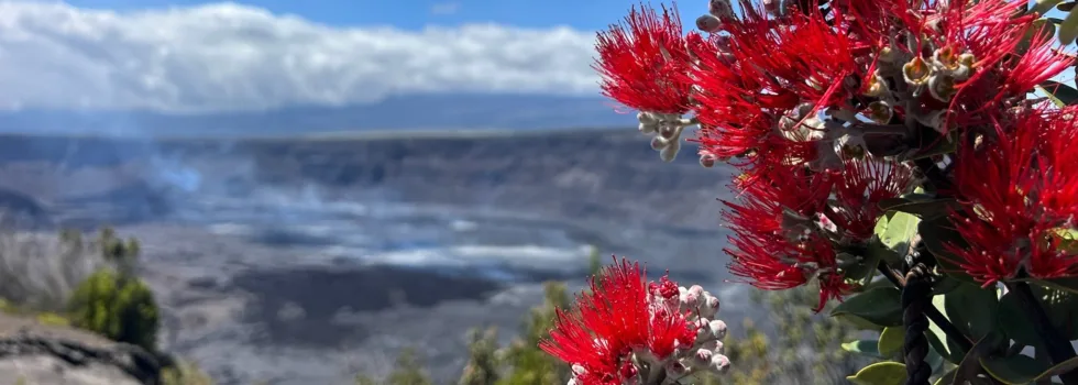 Bike tour volcano views