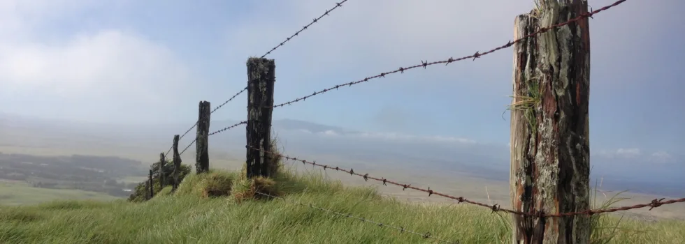 Barbwire fence anna ranch