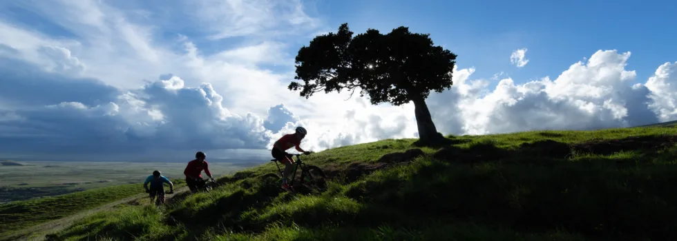Mountain bike tour waimea hawaii