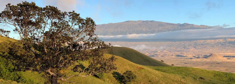 View of waimea pasture hawaii