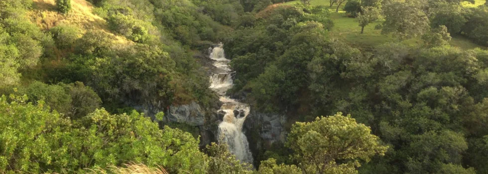 Waimea big island waterfall