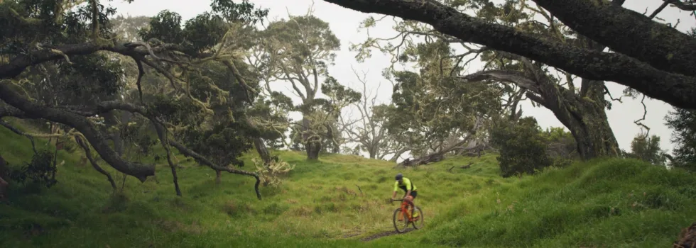 Mountain bike big island hawaii tour