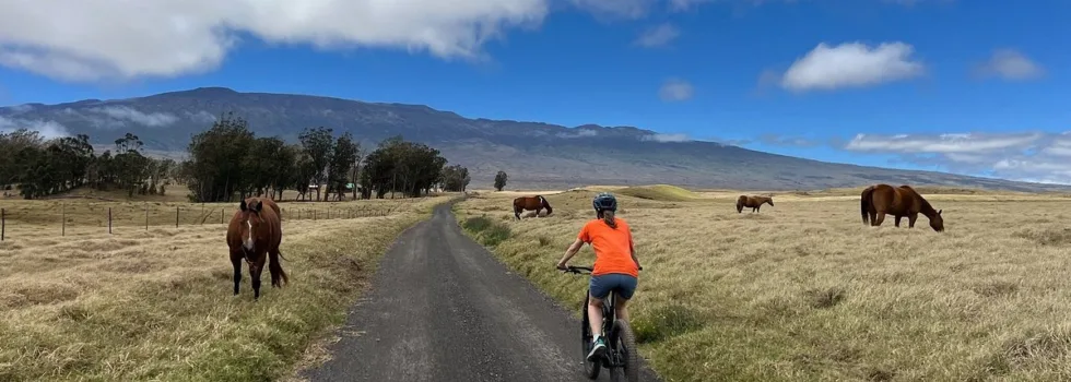 Waimea hawaii island bike tour